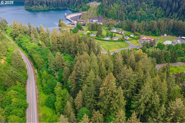 5713 Lewis River Rd, Ariel, WA 98603 - bird's eye view of a heavily wooded area and a nearby body of water