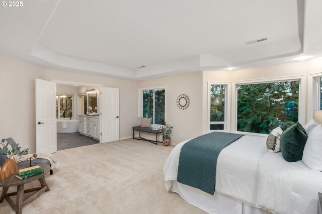 bedroom with a tray ceiling, carpet, and connected bathroom