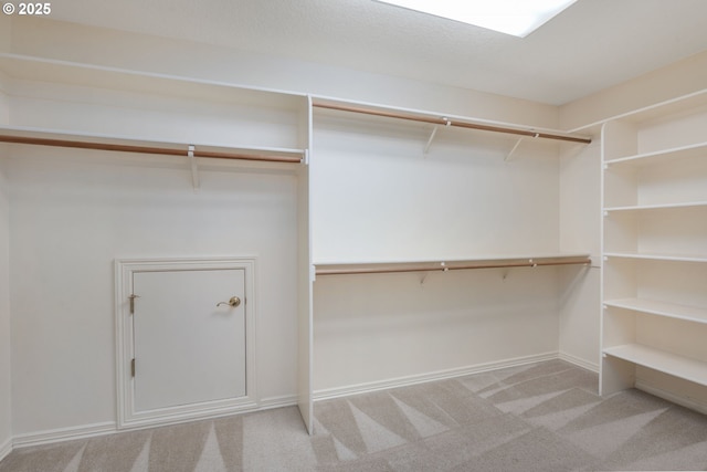 spacious closet with carpet