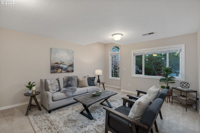 living area featuring a textured ceiling, baseboards, and light colored carpet