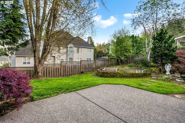 view of yard with a patio area