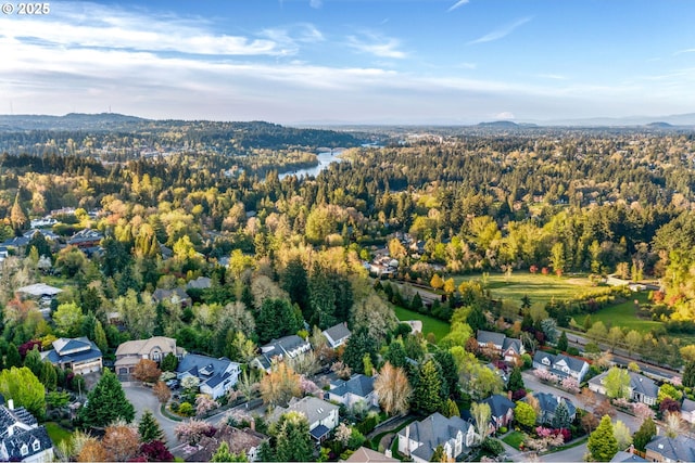 aerial view of residential area with a forest