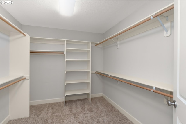 spacious closet featuring carpet floors
