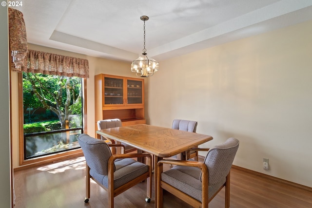 dining room with a raised ceiling and wood finished floors