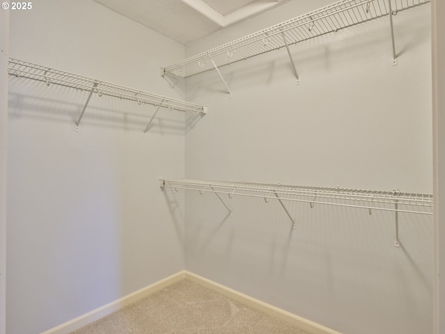 spacious closet with carpet floors