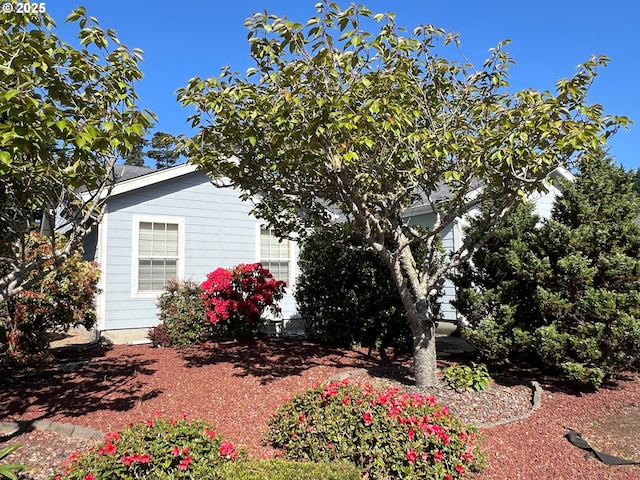 view of side of home