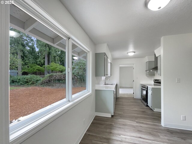 kitchen with baseboards, a sink, gray cabinets, and stainless steel electric stove
