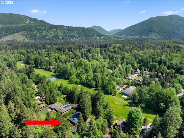 25210 E Arrah Wanna Blvd, Welches, OR 97067 - aerial view of a forest and mountains