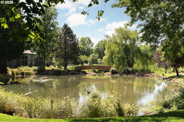 12620 NW Barnes Rd, Portland, OR 97229 - water view