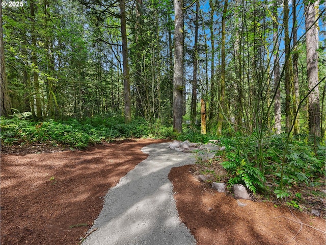 23375 E Adel Ave, Brightwood, OR 97011