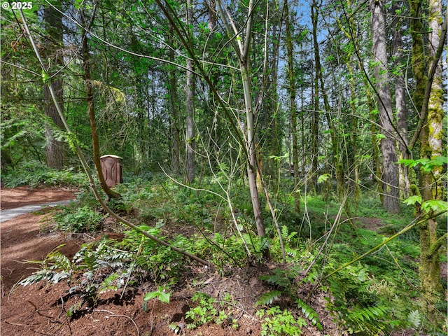 23375 E Adel Ave, Brightwood, OR 97011