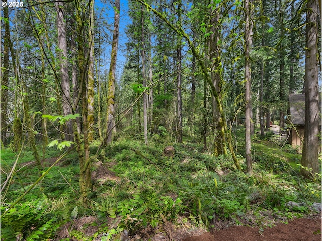 23375 E Adel Ave, Brightwood, OR 97011