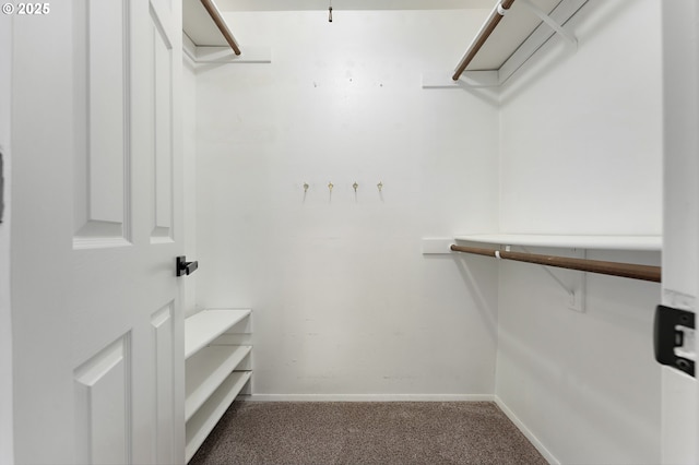 walk in closet featuring dark colored carpet