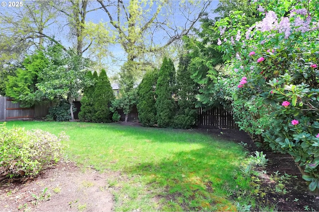 view of yard with fence