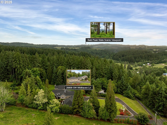 28800 SW Wildhaven Ln, Hillsboro, OR 97123 - bird's eye view of a heavily wooded area