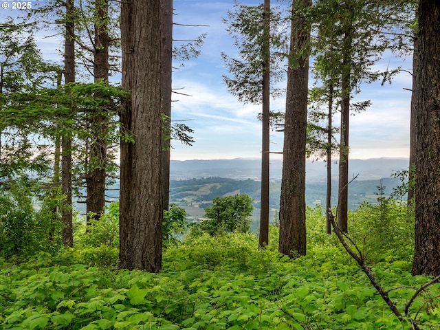 28800 SW Wildhaven Ln, Hillsboro, OR 97123 - water view with mountains