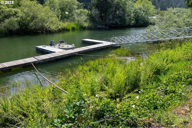 43605 State Highway 38 Unit 41, Reedsport, OR 97467 - dock with a wooded view and a water view