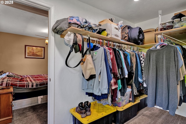 spacious closet with carpet flooring