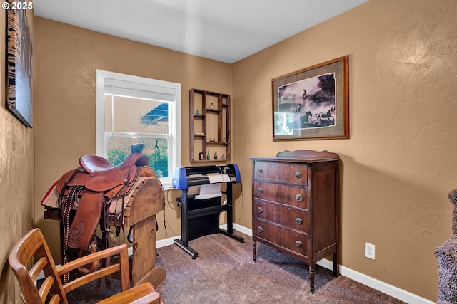 89353 Poodle Creek Rd, Noti, OR 97461 - bathroom with wood finished floors, vanity, baseboards, and a textured wall