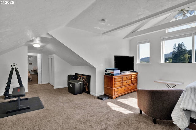 exercise room with lofted ceiling, carpet floors, a textured ceiling, and baseboards