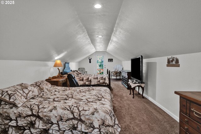 89353 Poodle Creek Rd, Noti, OR 97461 - bonus room with lofted ceiling, a sink, dark wood-style floors, a textured ceiling, and baseboards
