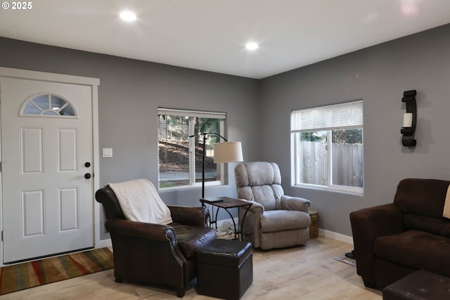 living room with light wood-type flooring