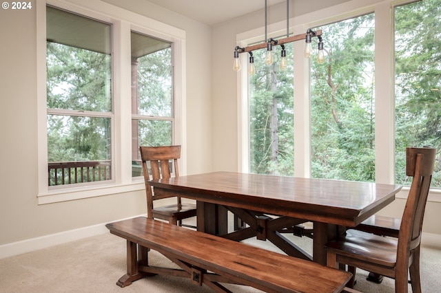 carpeted dining space featuring a wealth of natural light