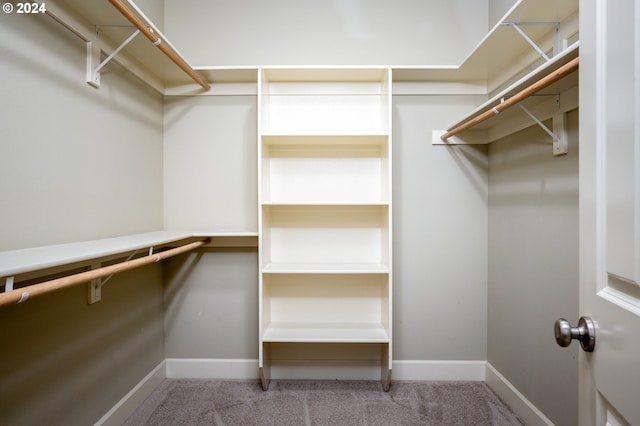 spacious closet featuring light colored carpet