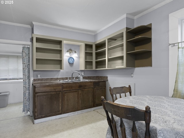 kitchen with sink, dark brown cabinetry, and ornamental molding