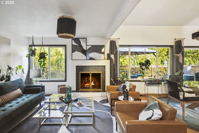 living room with a wealth of natural light and a textured ceiling