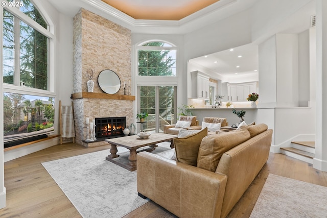 living room with a high ceiling, a tray ceiling, a healthy amount of sunlight, and a stone fireplace