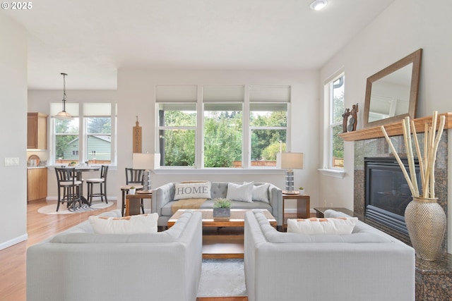 living room with a premium fireplace and light wood-type flooring