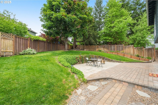 view of yard with a patio
