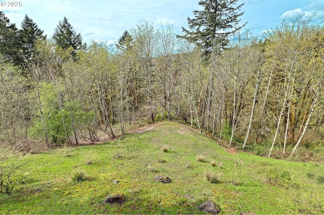 8333 NW Hazeltine St, Portland, OR 97229 - view of local wilderness