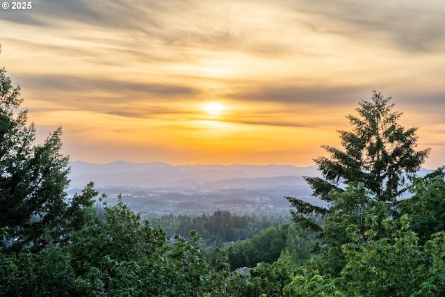 8333 NW Hazeltine St, Portland, OR 97229 - view of mountain background with a heavily wooded area