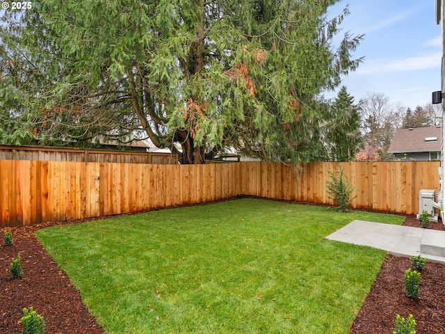 view of yard with a patio and a fenced backyard