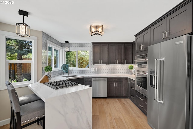 kitchen featuring light wood-style floors, a sink, appliances with stainless steel finishes, and dark brown cabinets