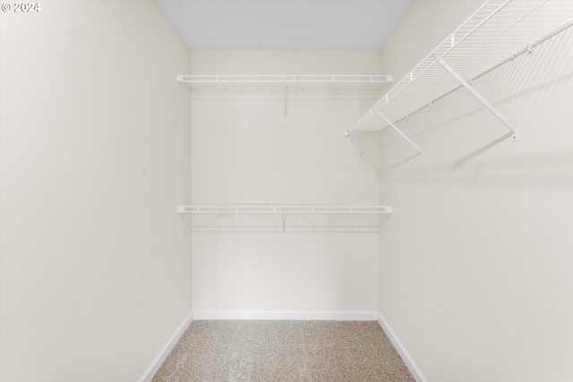 11480 Fern Way, Nehalem, OR 97131 - walk in closet with carpet