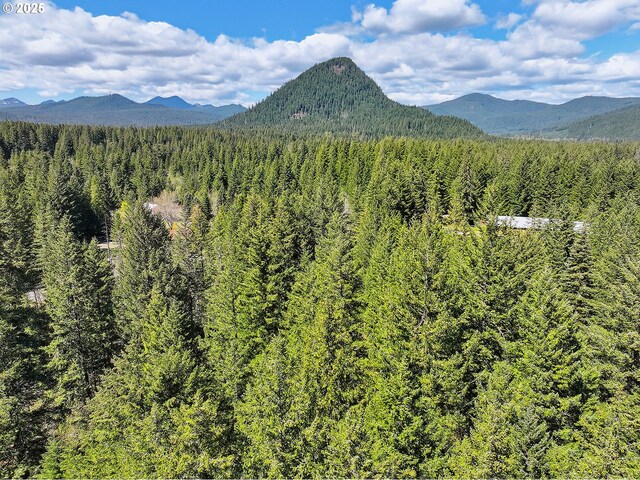 Foster Rd, Carson, WA 98610