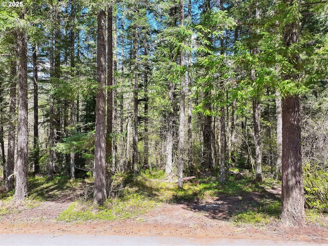 Foster Rd, Carson, WA 98610