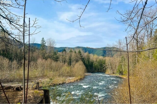 65121 E Lupine Dr, Rhododendron, OR 97049 - view of road featuring a mountain view and a view of trees