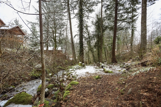 view of local wilderness