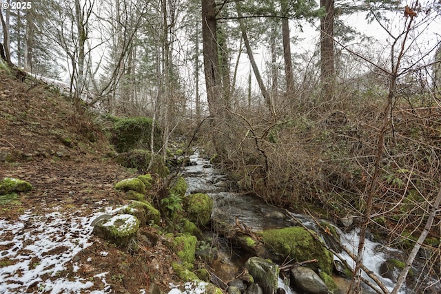 view of local wilderness