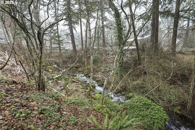 view of landscape