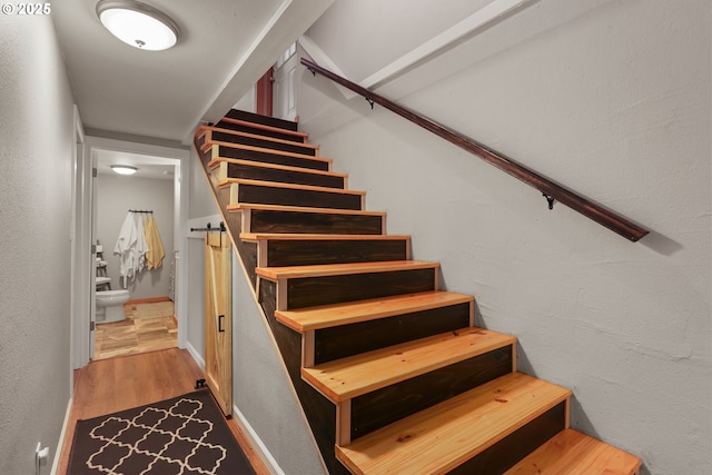 stairway with wood-type flooring