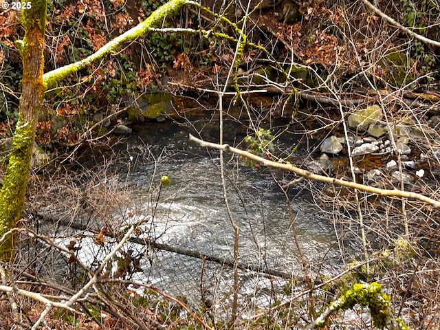 view of nature with a water view