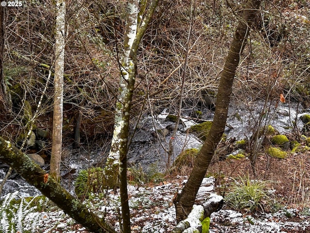 view of local wilderness