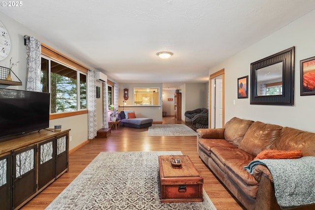 living room with a wall unit AC and light hardwood / wood-style flooring