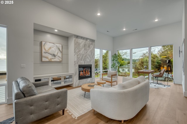 living room with a premium fireplace and light hardwood / wood-style flooring