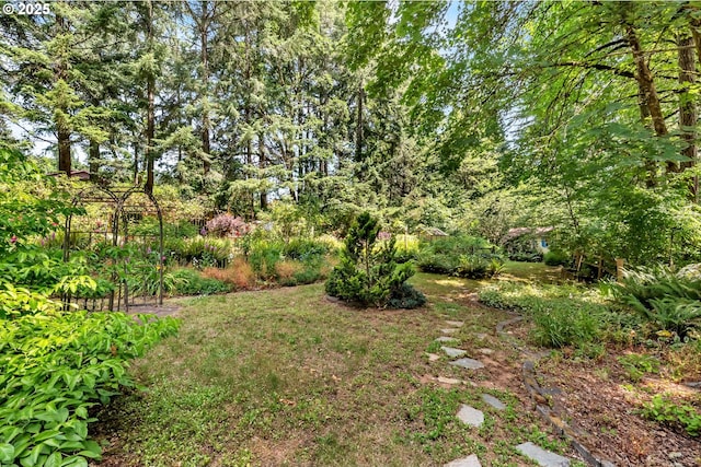 25498 Butler Rd, Junction City, OR 97448 - view of yard